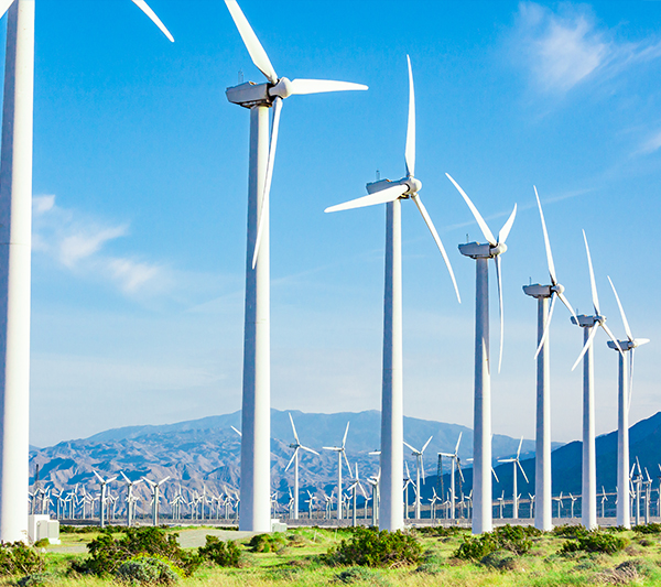 风电与新能源业务